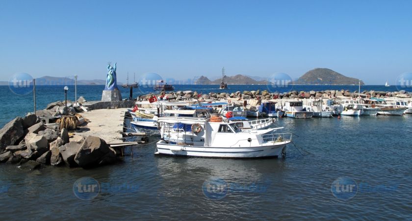 Turgutreis Kalimnos Turgutreis (Tek Yön )