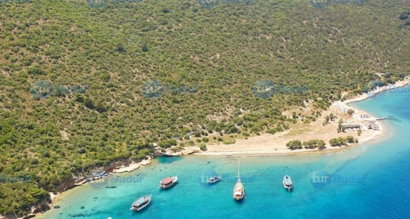 Orak Adası