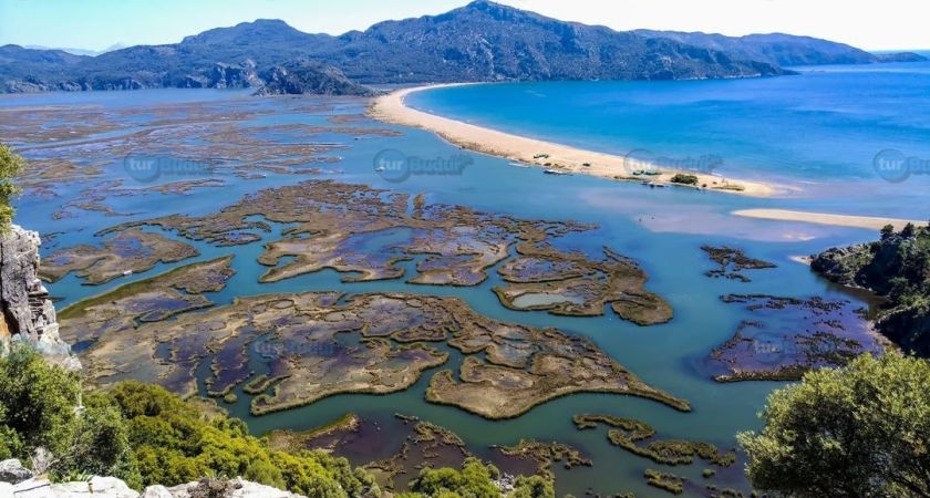 DALYAN TURU