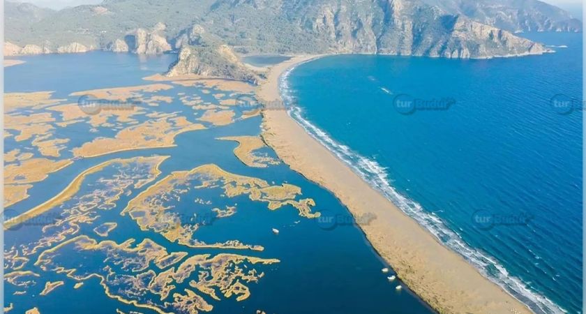 DALYAN TURU