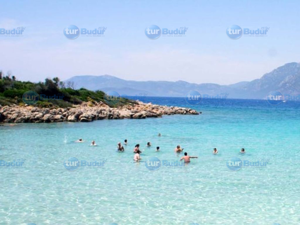 Orak Adası